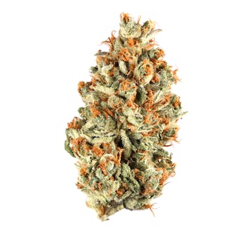 FLOWER-KOSHER TANGIE SHAKE